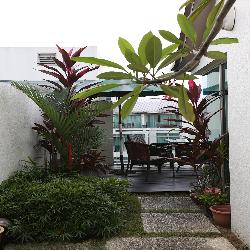 Glentrees (D10), Condominium #49834742